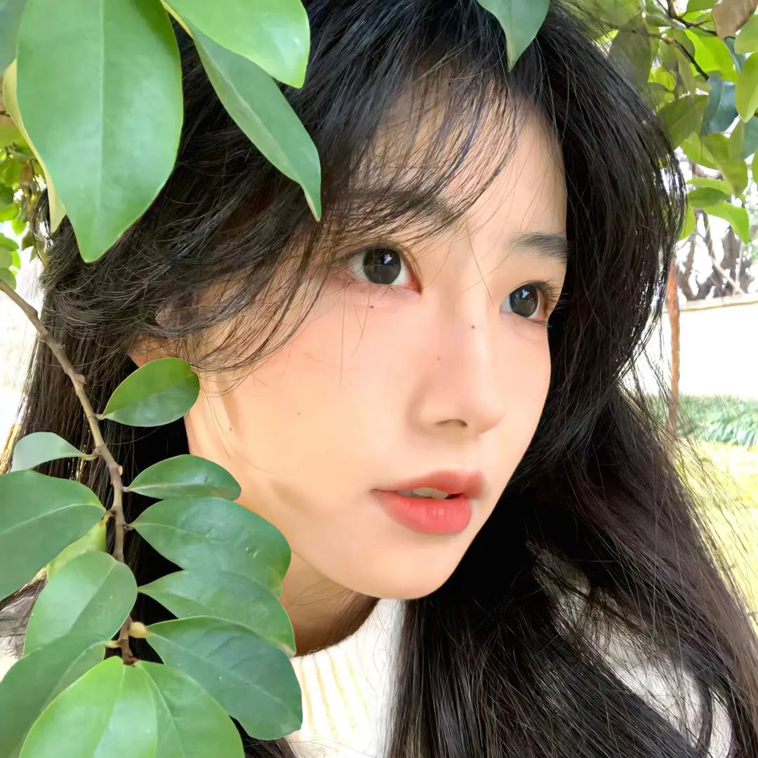 外来者