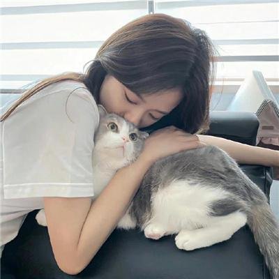 中华小当家 动画版