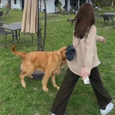 爱情无政府